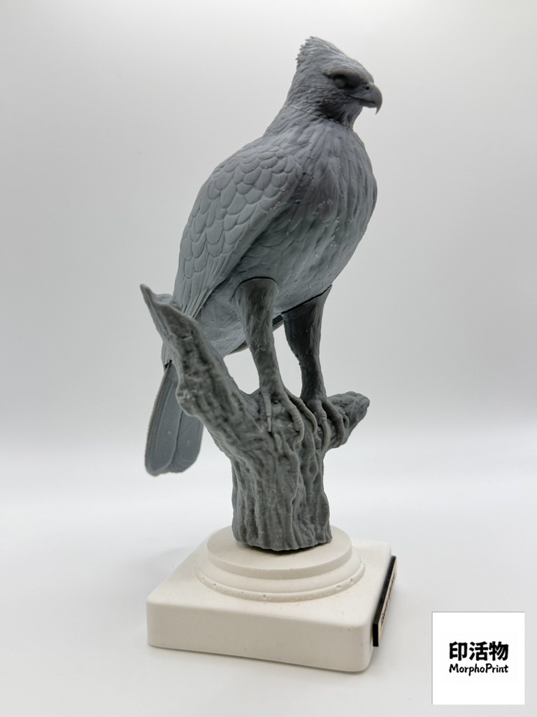 【印活物】「桌上野鳥図鑑」クマタカ リアルフィギュア | Mountain Hawk-Eagle ( Nisaetus nipalensis )