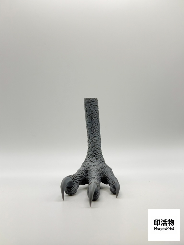 猛禽之握:カンムリワシ 1:1 爪部解剖モデル(未塗装キット)