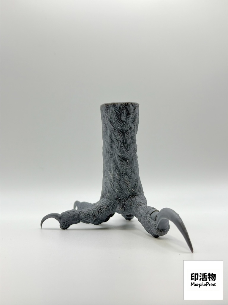 猛禽之握:クマタカ 1:1 爪部標本モデル(未塗装キット)