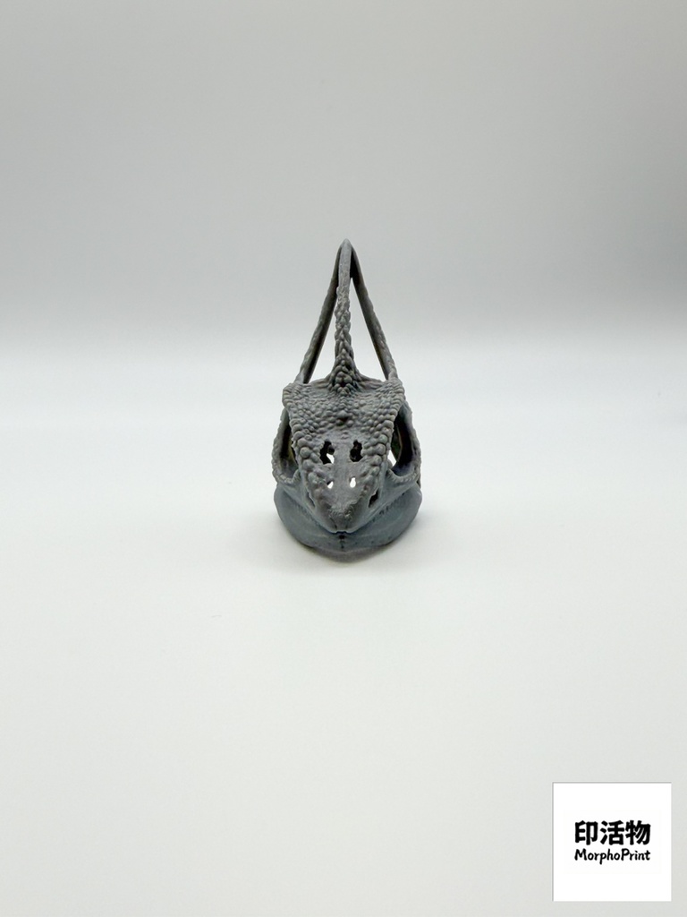 エボシカメレオン 1:1 頭骨レプリカ(未塗装キット)