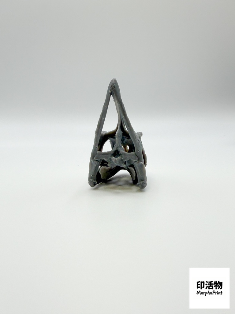 エボシカメレオン 1:1 頭骨レプリカ(未塗装キット)