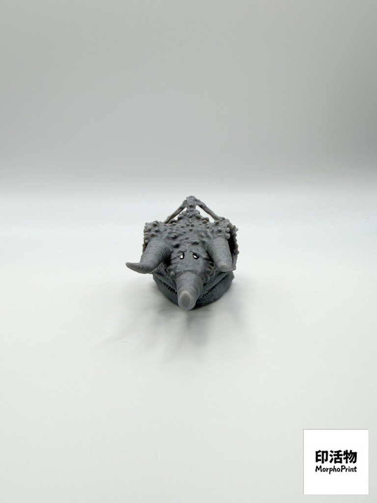 ジャクソンカメレオン 1:1 頭骨レプリカ(未塗装キット)