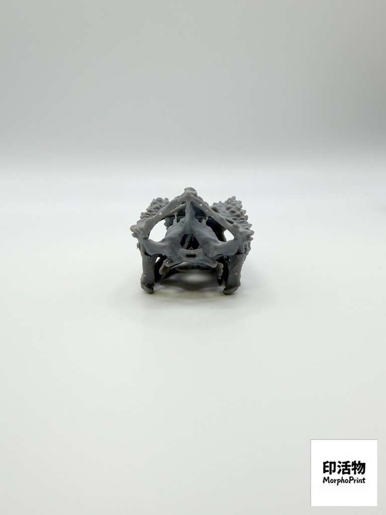 ジャクソンカメレオン 1:1 頭骨レプリカ(未塗装キット)