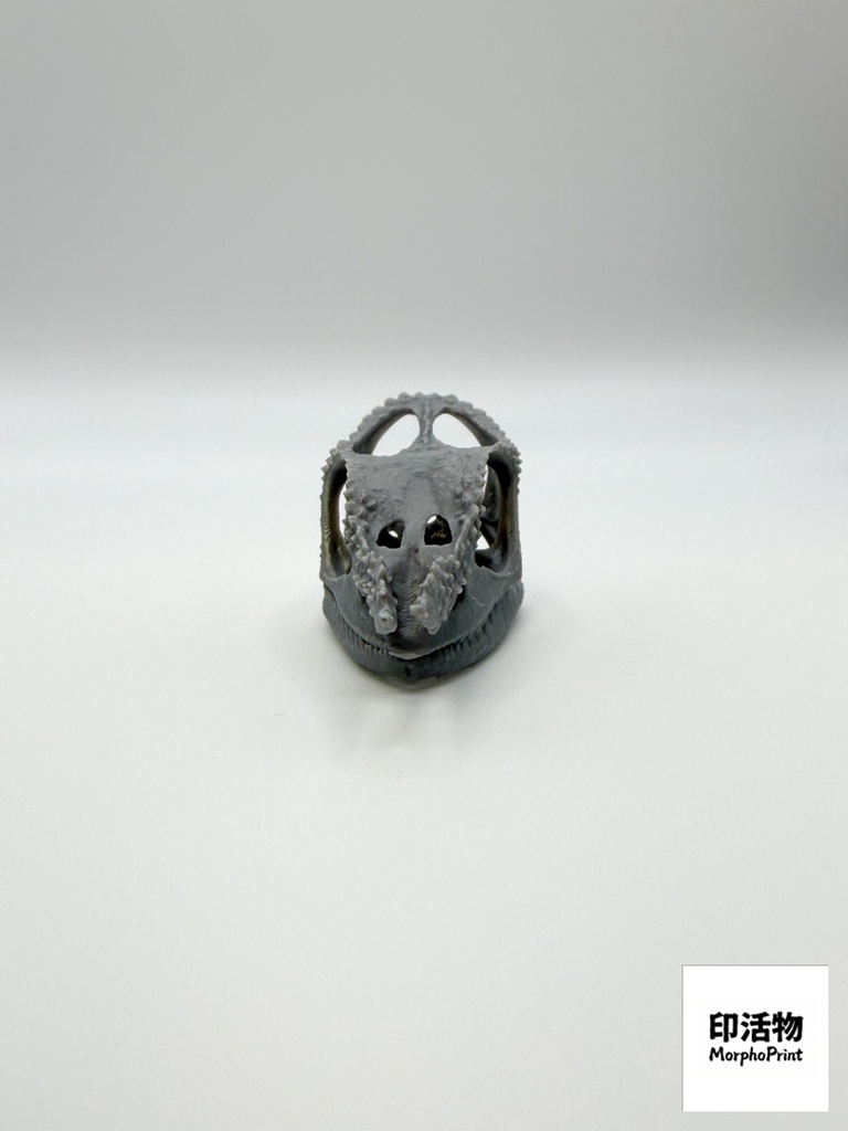 フィッシャーカメレオン 1:1 頭骨レプリカ(未塗装キット)