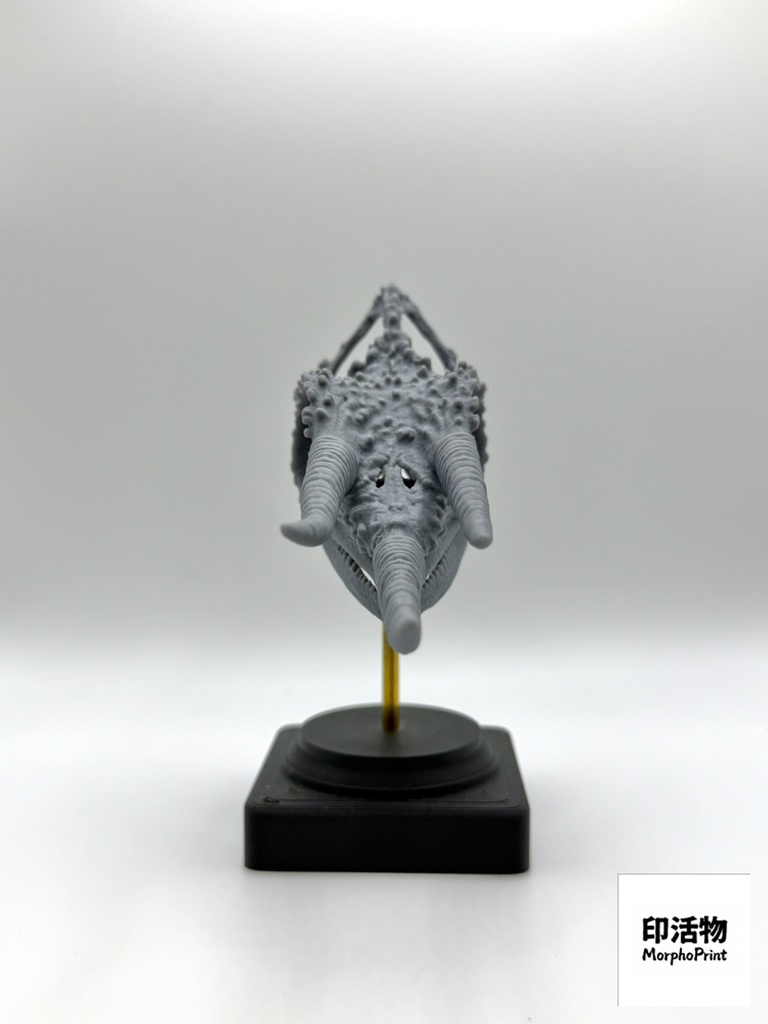 桌上骨骼図鑑 - ジャクソンカメレオン 拡大頭骨モデル(未塗装キット)