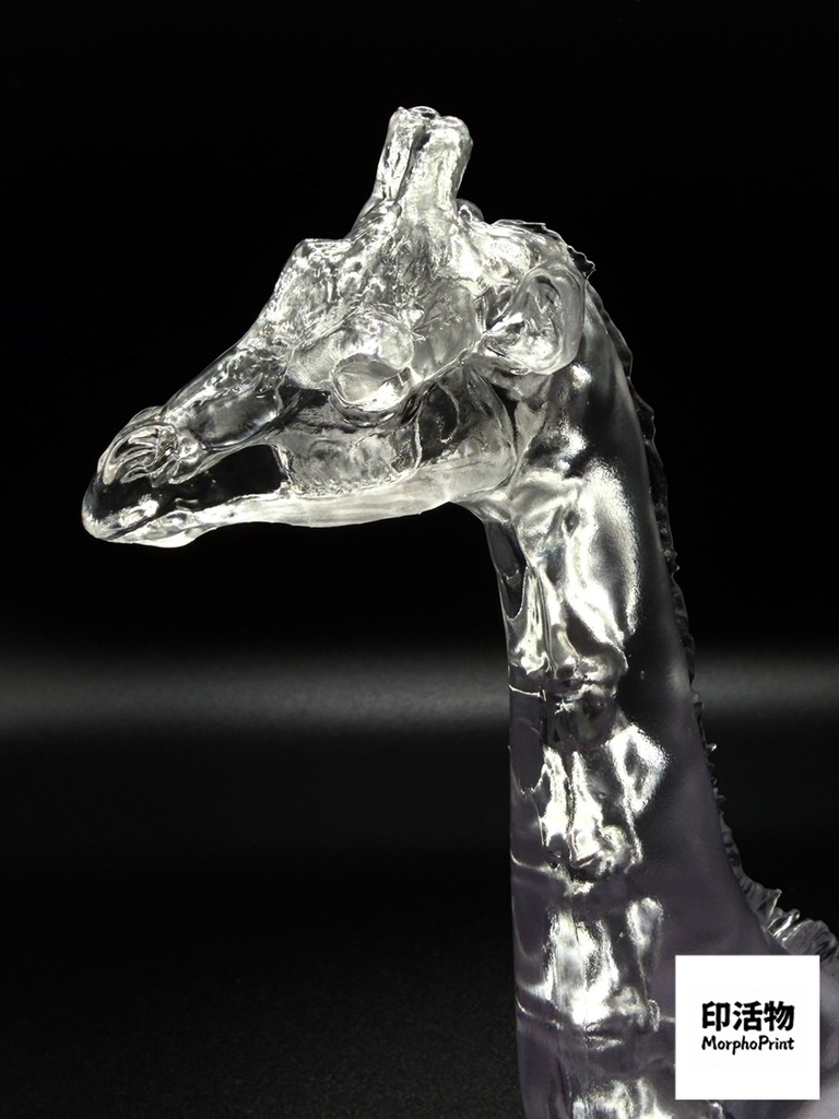 透骨シリーズ:キリン 頸部骨格解剖モデル(未塗装キット)