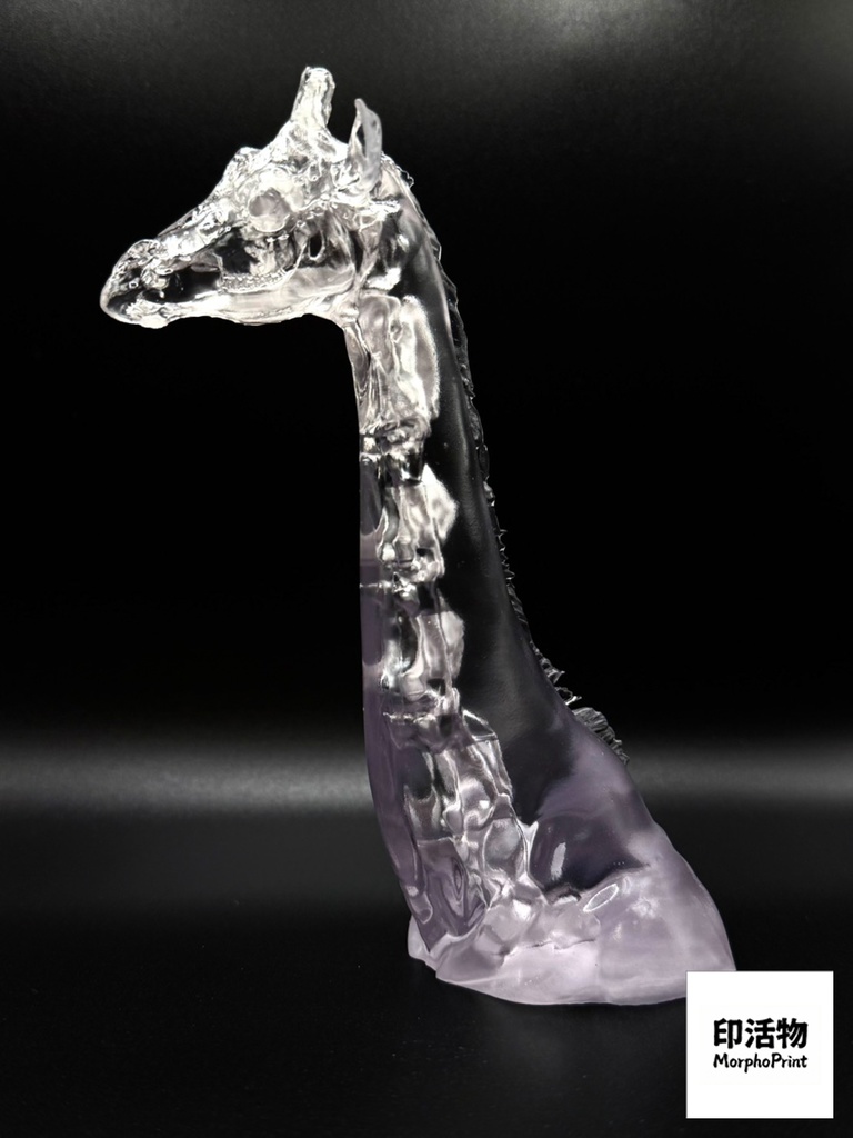 透骨シリーズ:キリン 頸部骨格解剖モデル(未塗装キット)