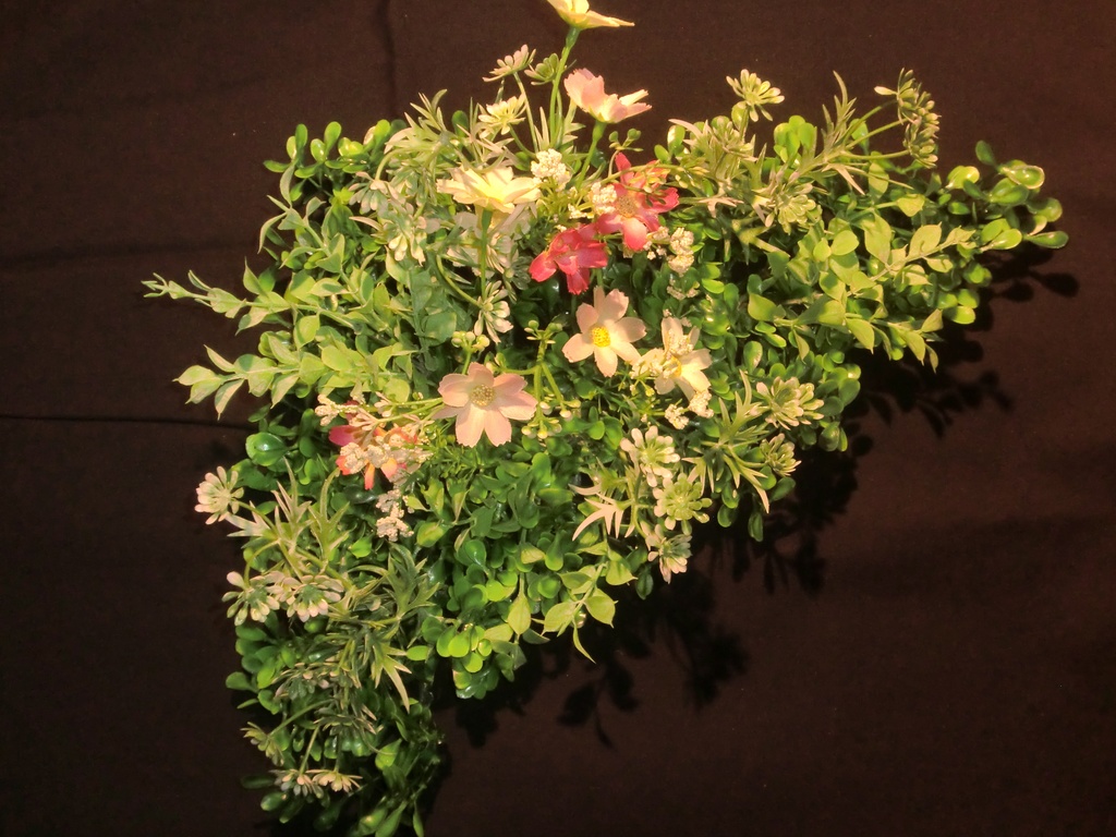 植栽(お花畑風) 25㎝×25㎝ 撮影、インテリアに