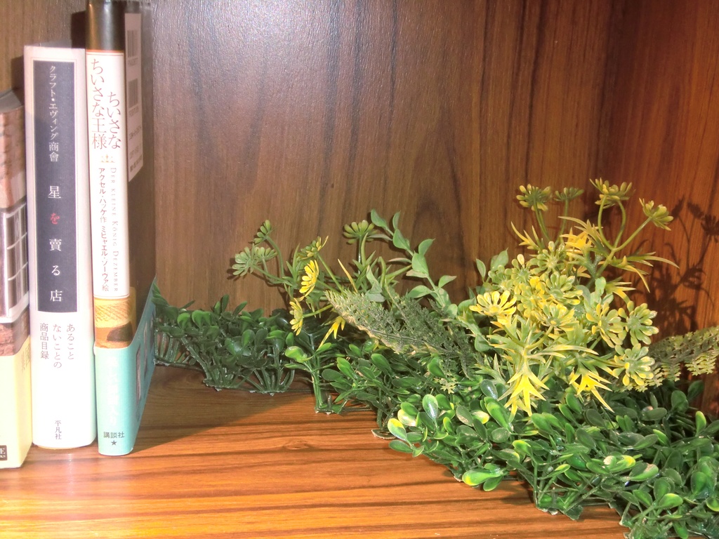 植栽(雑草風) 25㎝×25㎝ 撮影、インテリアに