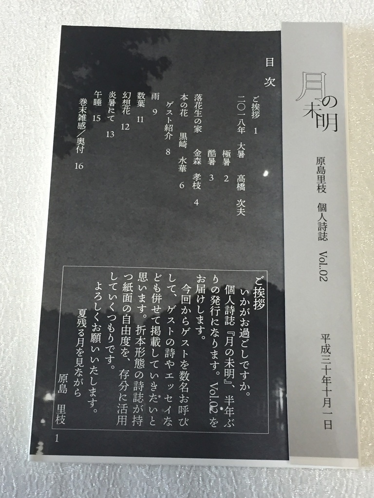 個人詩誌 月の未明vol.02