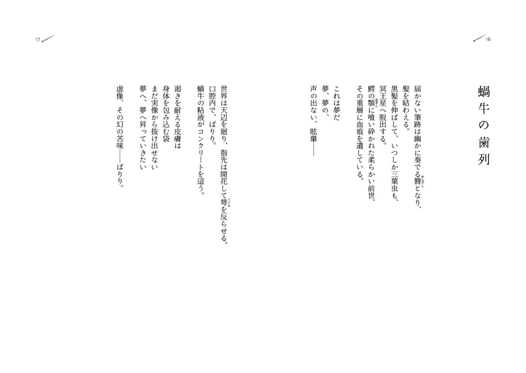 詩集常夜灯(匿名配送により送料別+370=送料込で2600)