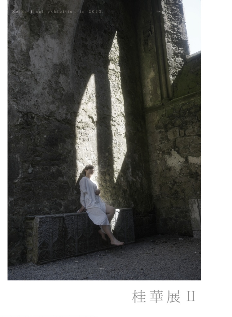 桂華展Ⅱ-最後の12年の軌跡-