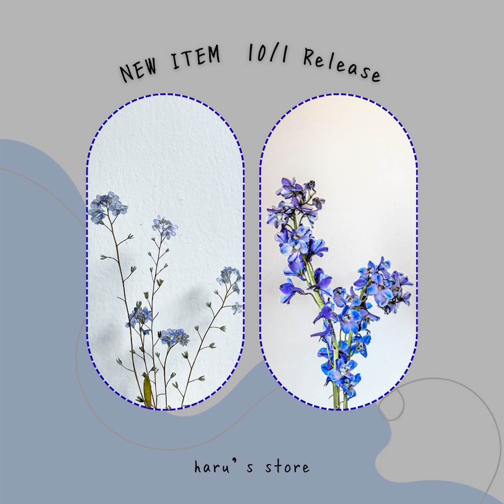 canva sns template 5