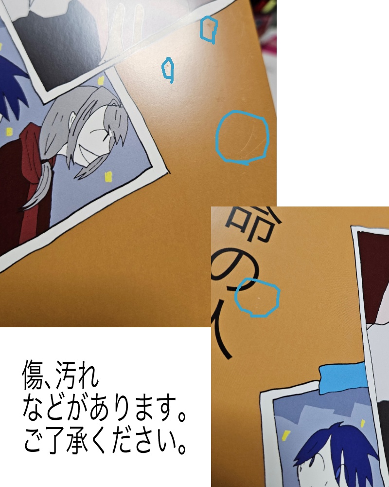 (訳アリ)運命の人(傷アリ)