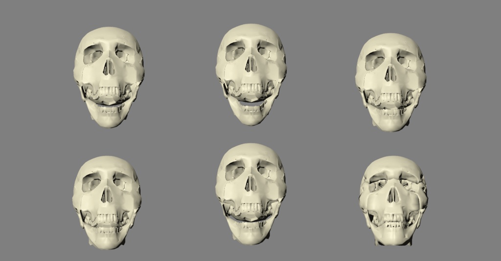 スカルアバター VRM 6色セット【cluster対応アバター】