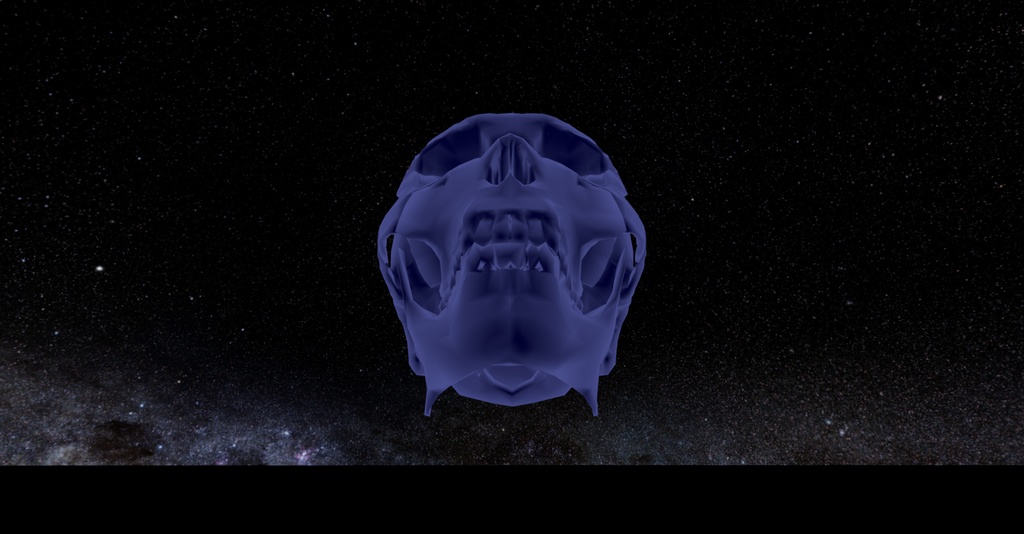 スカルアバター VRM 6色セット【cluster対応アバター】