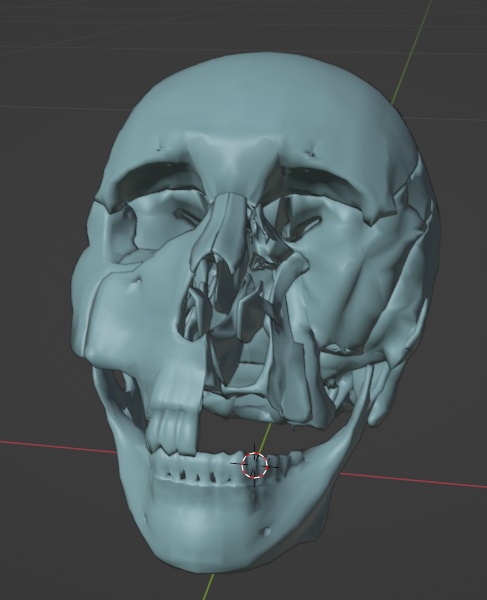 頭蓋骨22パーツ3Dモデル FBX