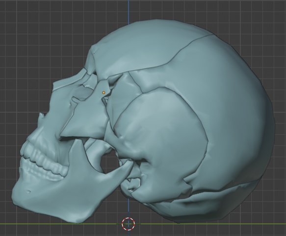 頭蓋骨22パーツ3Dモデル FBX
