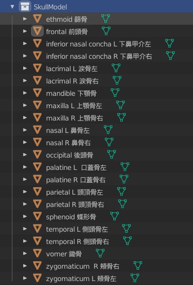 頭蓋骨22パーツ3Dモデル FBX