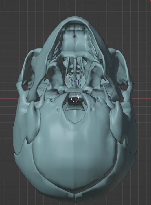 頭蓋骨22パーツ3Dモデル FBX