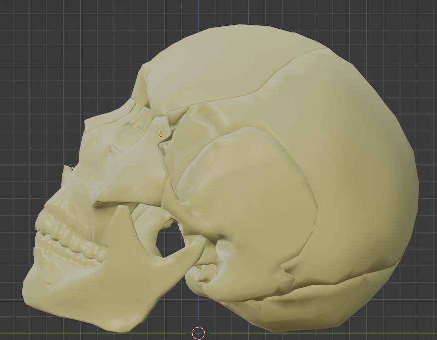 頭蓋骨22パーツ3Dモデル FBX