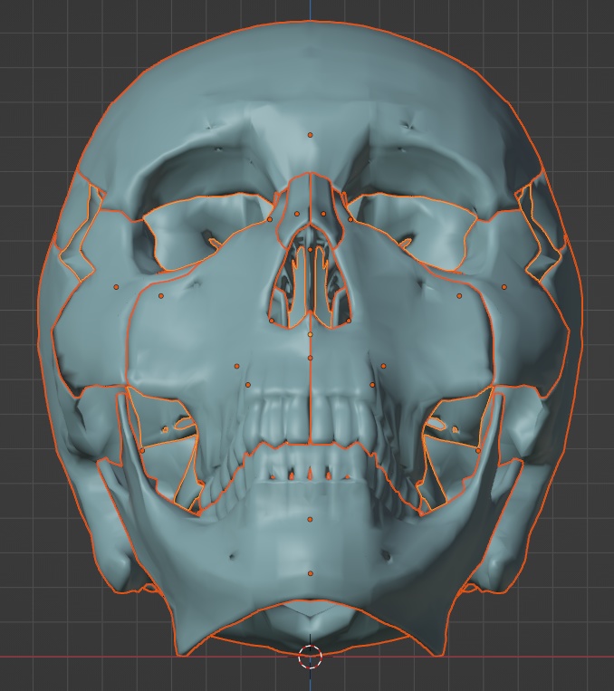 頭蓋骨22パーツ3Dモデル FBX