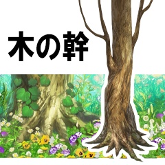 木の幹　
