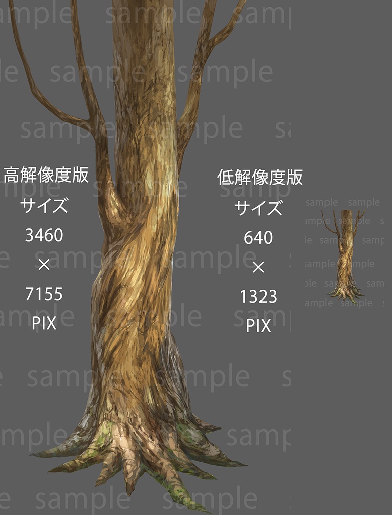 木の幹