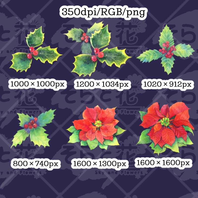 柊・ポインセチア+a