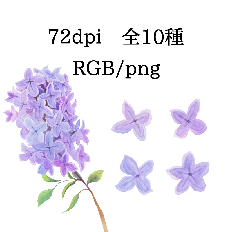 【フリー素材】ライラック