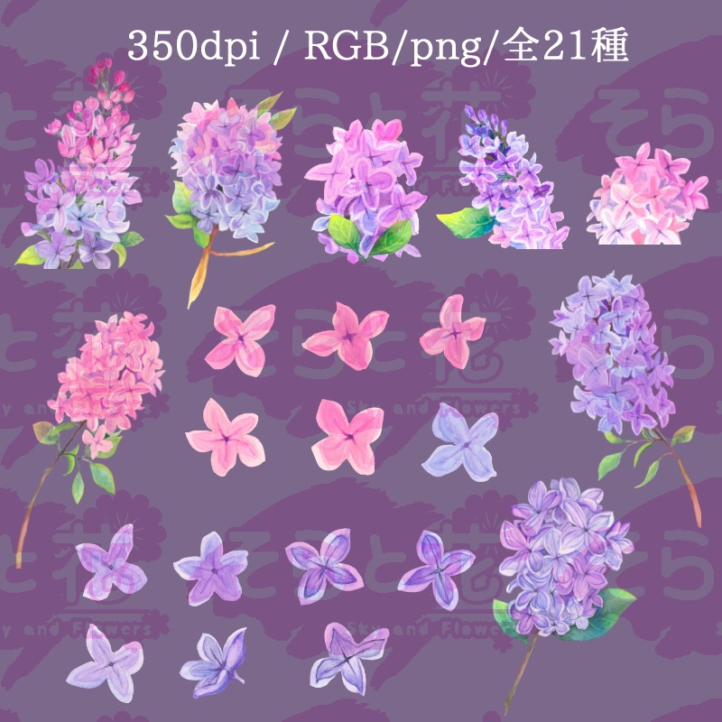 ライラック素材集