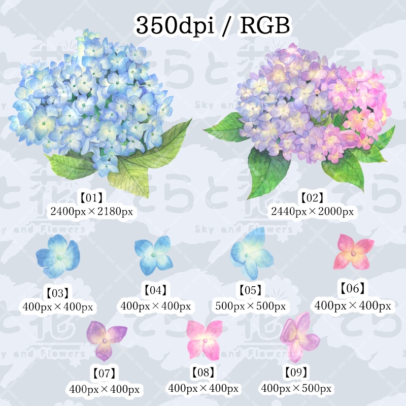 【専用商品】　アジサイ　リクエストアソート　3種 紫陽花 Amazon.co.jp: 花木苗 アジサイ お買得 紫陽花おまかせ福袋