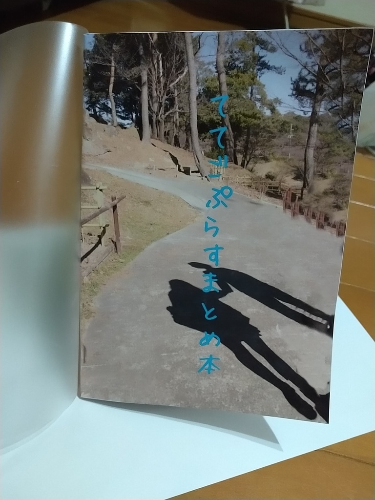 ててごプラスまとめ本