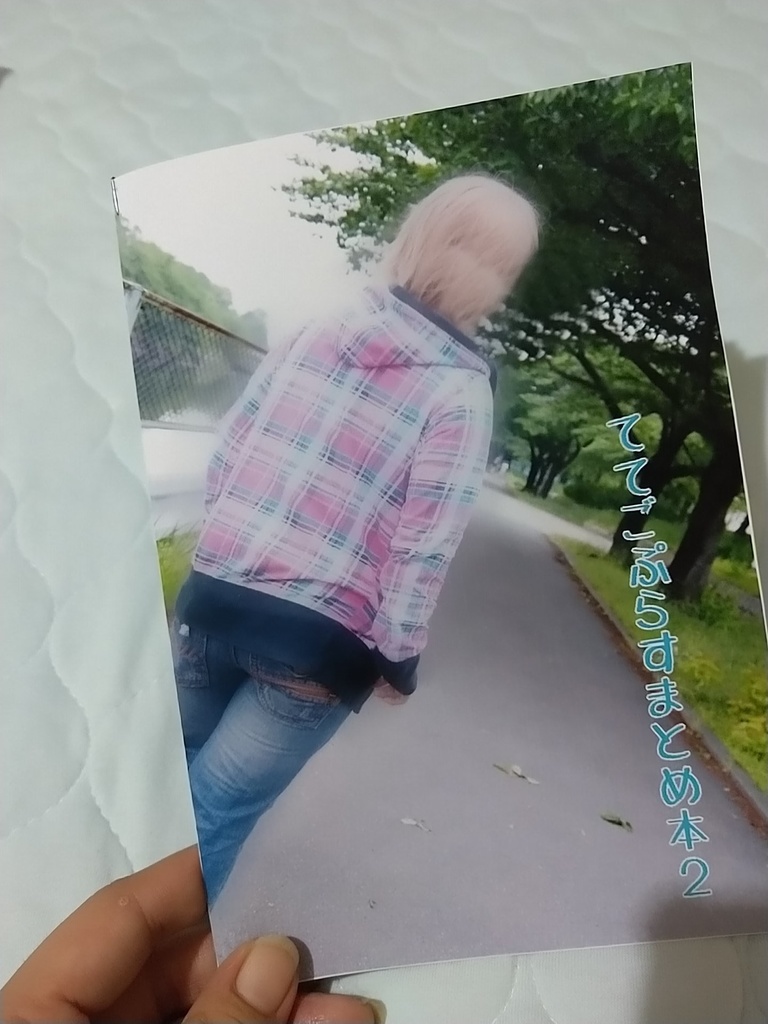 ててごプラスまとめ本２