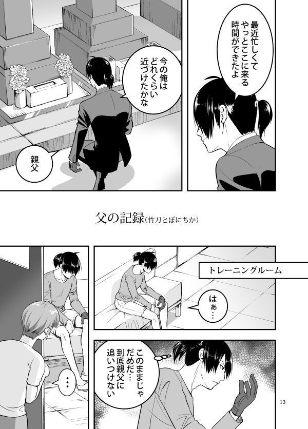 ぽにちかアンソロジー【匿名発送】