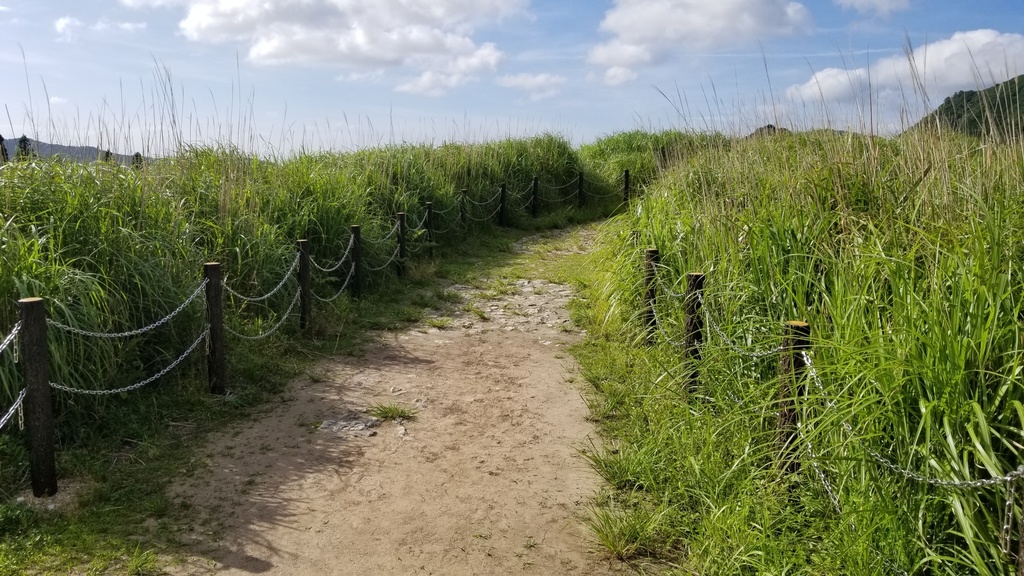 写真素材 : 風景 (草原と丘) フォトバッシュ等にお使いください