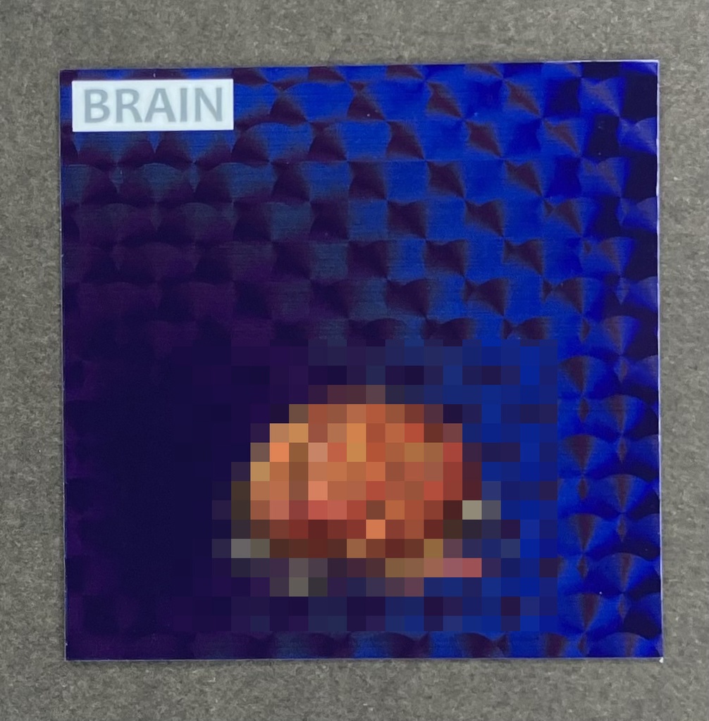 【おまけカード2枚シール1枚つき・ファウロスの封印】世紀末マン扇プリズム版 C32'&C36' ニーナ&ミカエル セット