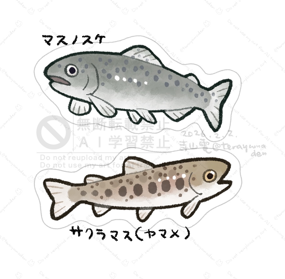 魚シール(マスノスケ・サクラマス)