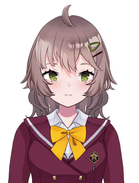 限定1点!Live2Dモデル【VTS対応】