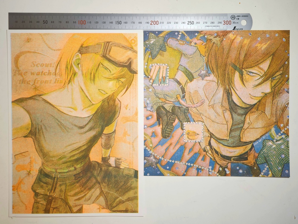 リソグラフ　イバラ　2種類