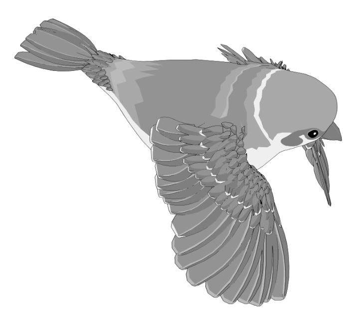 すずめ(羽ツメ身体可動!)羽閉じ版/羽開き版/公園広場/ベンチ/街灯