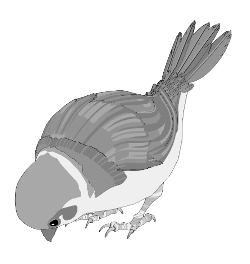 すずめ(羽ツメ身体可動!)羽閉じ版/羽開き版/公園広場/ベンチ/街灯