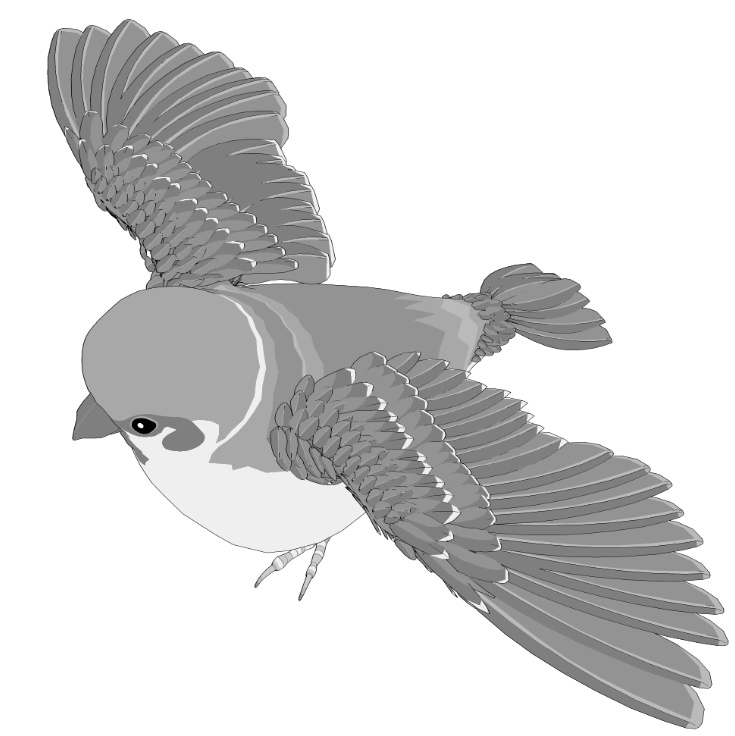 すずめ(羽ツメ身体可動!)羽閉じ版/羽開き版/公園広場/ベンチ/街灯