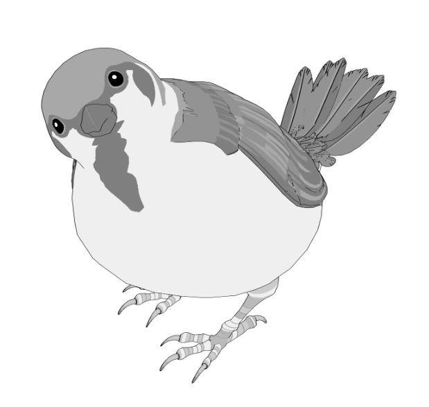 すずめ(羽ツメ身体可動!)羽閉じ版/羽開き版/公園広場/ベンチ/街灯