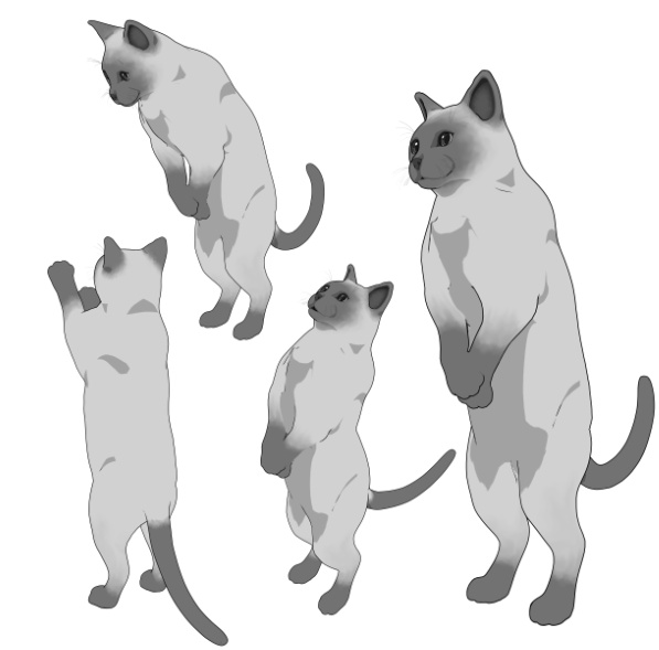 猫(ねこ)7種!可動設定多種!口可動!簡易歩行アニメや様々なポーズ設定あります!