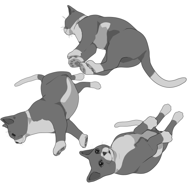 猫(ねこ)7種!可動設定多種!口可動!簡易歩行アニメや様々なポーズ設定あります!