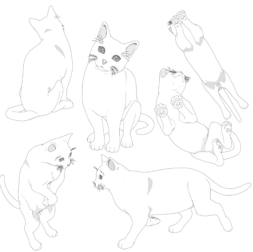 猫(ねこ)7種!可動設定多種!口可動!簡易歩行アニメや様々なポーズ設定あります!
