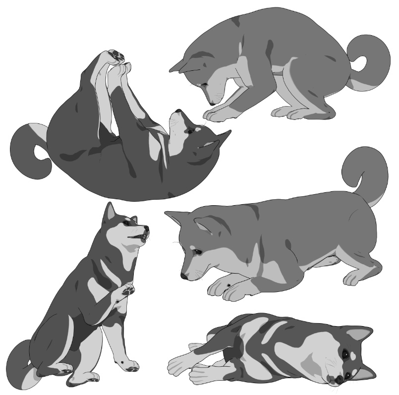 柴犬6種!可動設定多種!口可動!簡易歩行アニメや様々なポーズ設定あります!