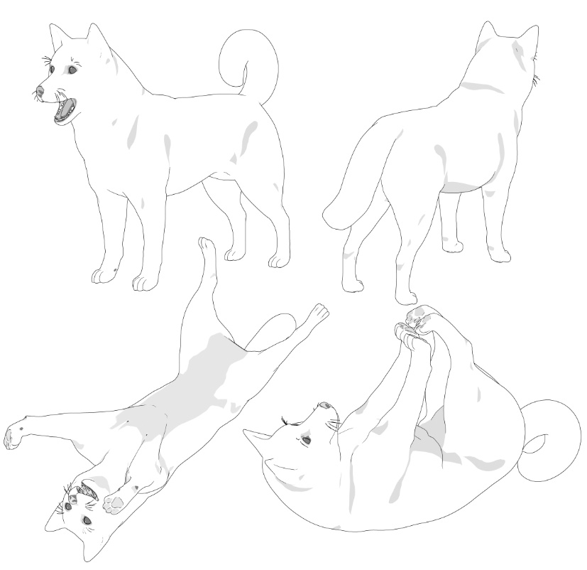 柴犬6種!可動設定多種!口可動!簡易歩行アニメや様々なポーズ設定あります!