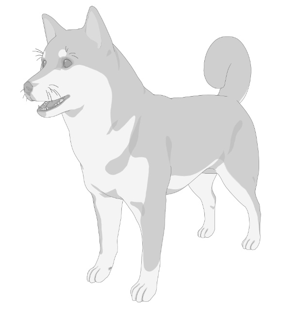 柴犬6種!可動設定多種!口可動!簡易歩行アニメや様々なポーズ設定あります!